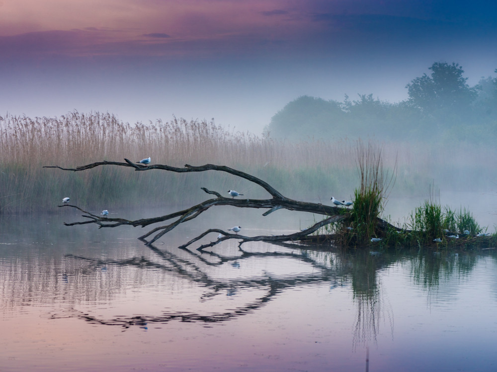 Prachtige natuur