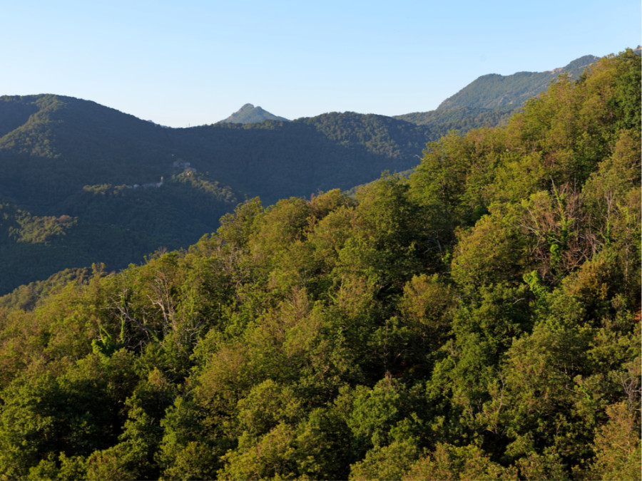 natuurgebieden Corsica