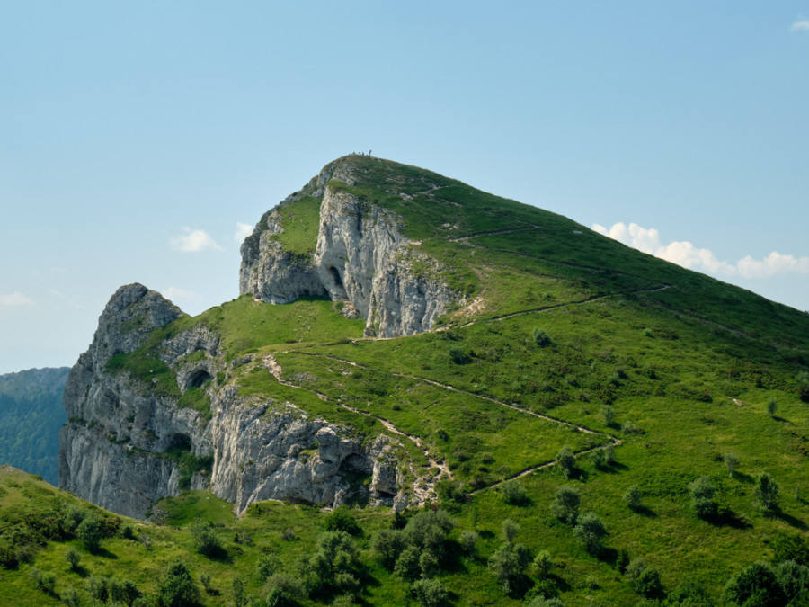 Forêt de Saoû