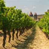 Afbeelding voor Languedoc-Roussillon