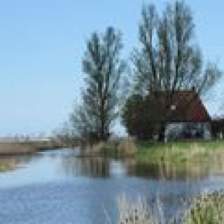 Afbeelding voor Natuurhuisje - Friesland bij het water