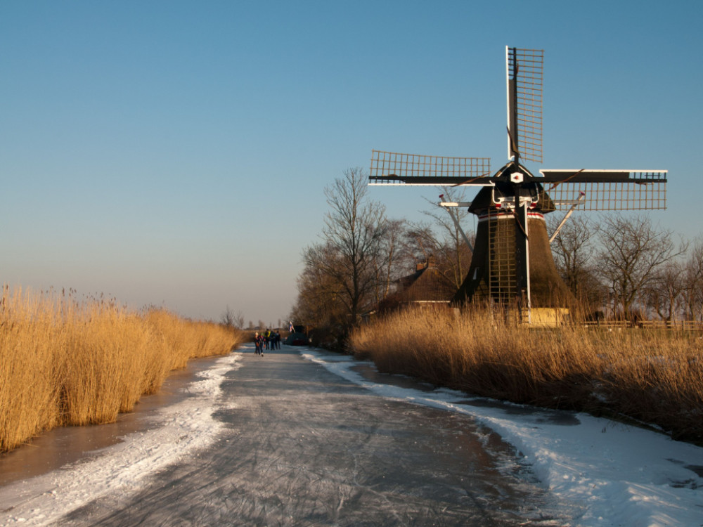 Friesland