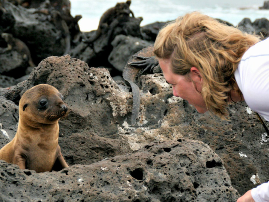 bijzondere dieren op de galapagos eilanden