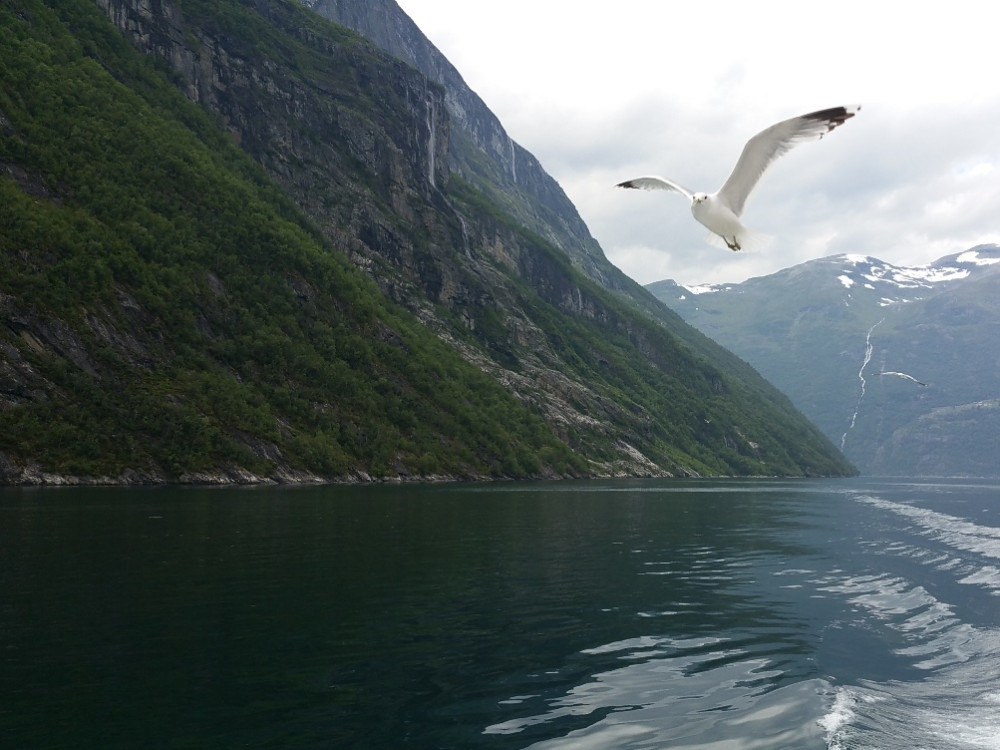 Geirangerfjord