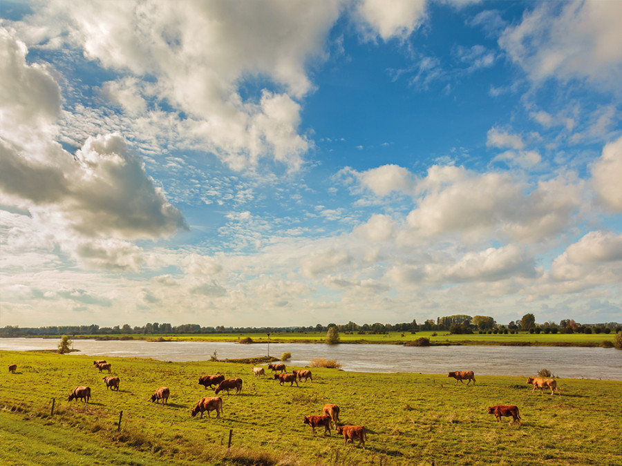 Natuur in Gelderland