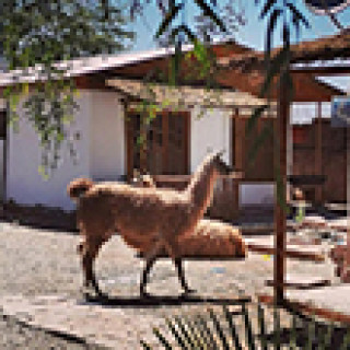 Afbeelding voor Booking.com - Atacama met gezin