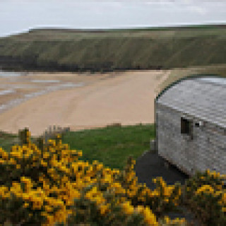 Afbeelding voor Booking.com - Glamping pods