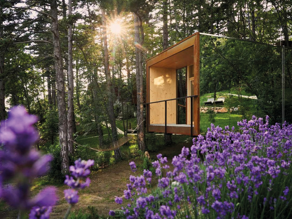 Luxe glamping in het bos