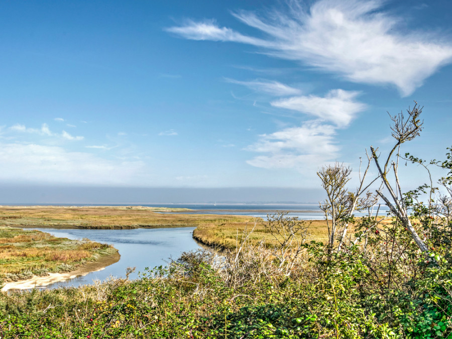 Drassige wetlands