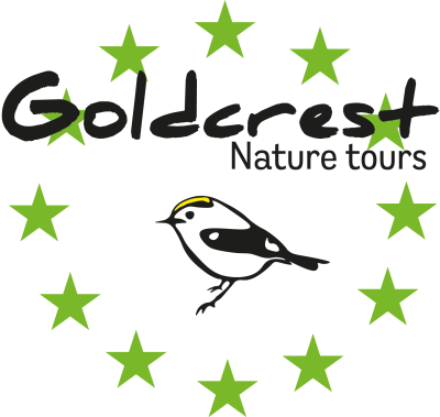 Logo van Goldcrest Nature Tours