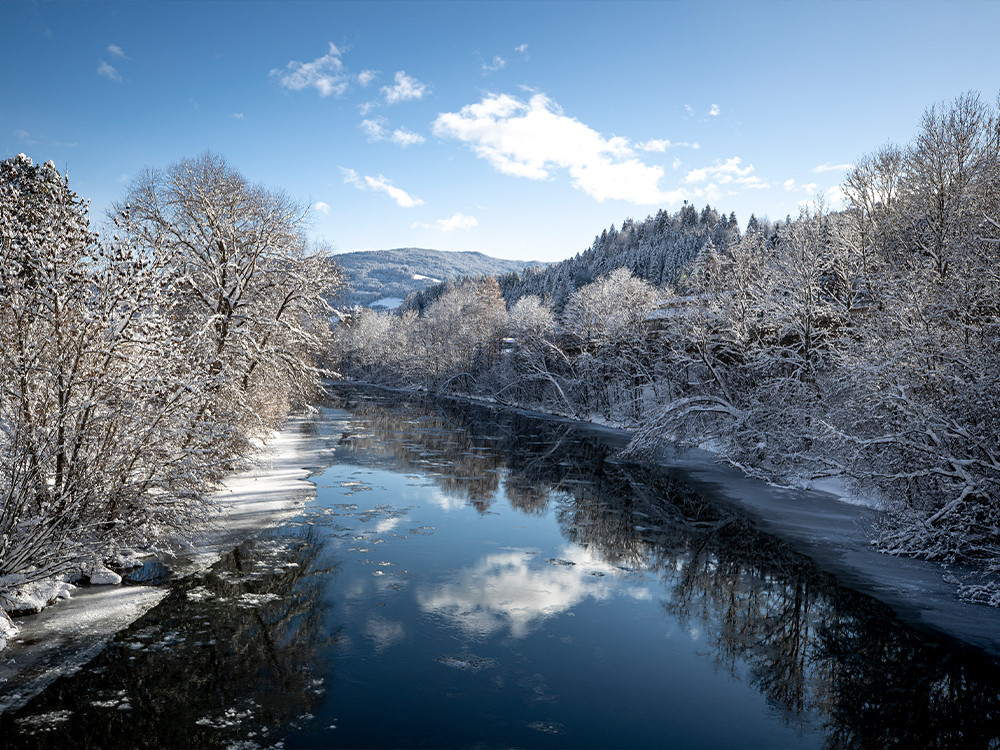 Winternatuur