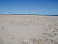Strand bij Grenen