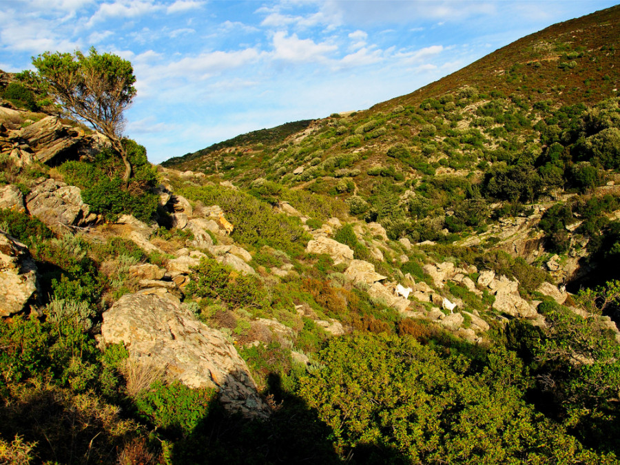 Andros Route Andros Route