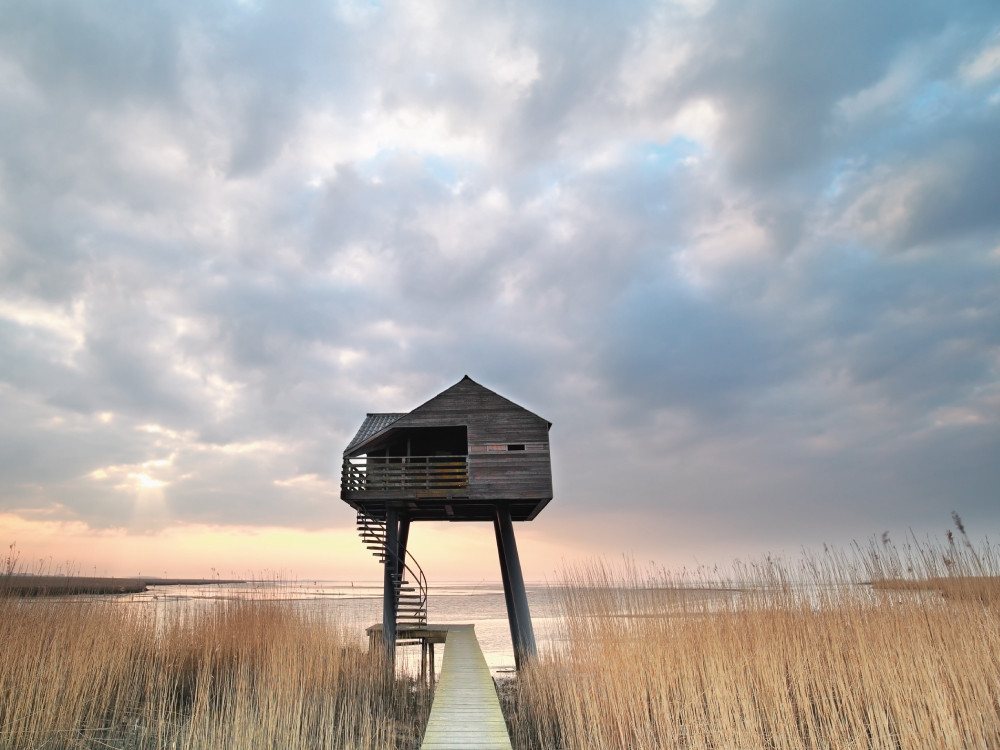 Vogelkijkhut Kiekkaaste in Dollard