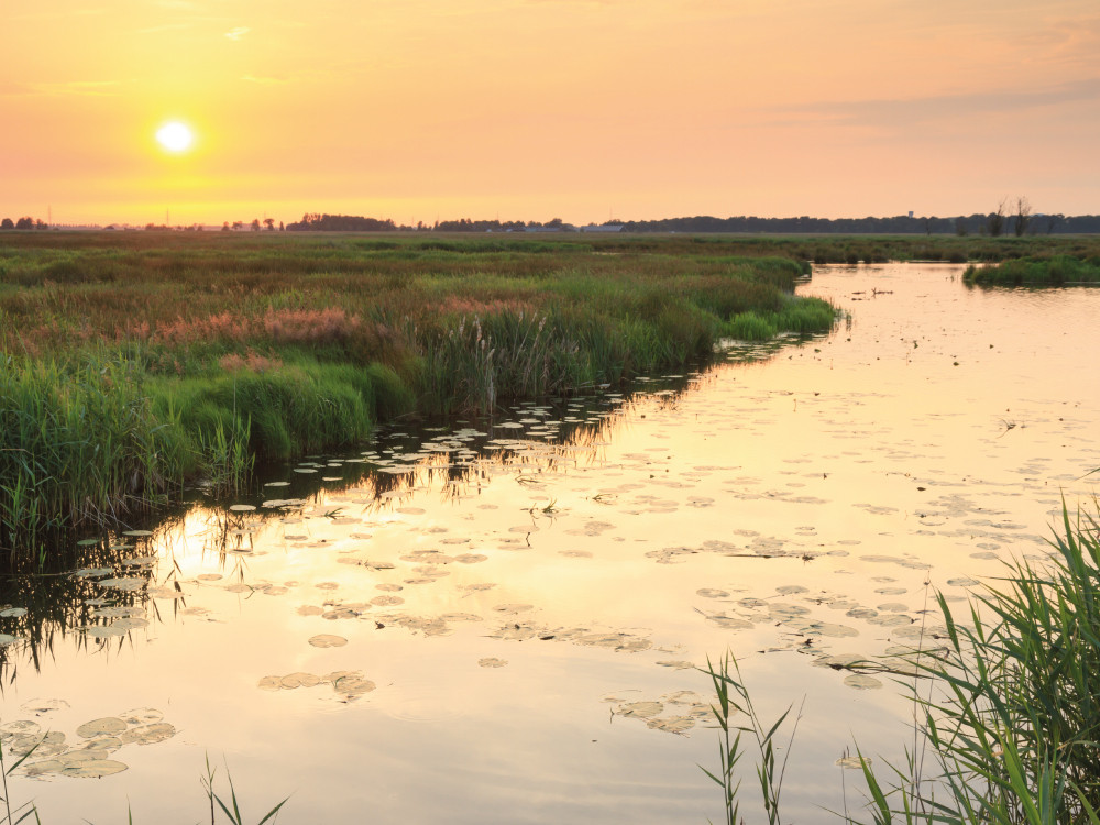 Mooie zonsondergang in de Onlanden