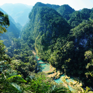 Afbeelding voor Semuc Champey en Alta Verapaz