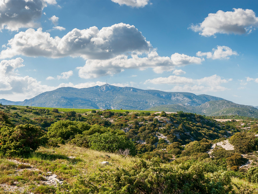 Natuurparken Languedoc