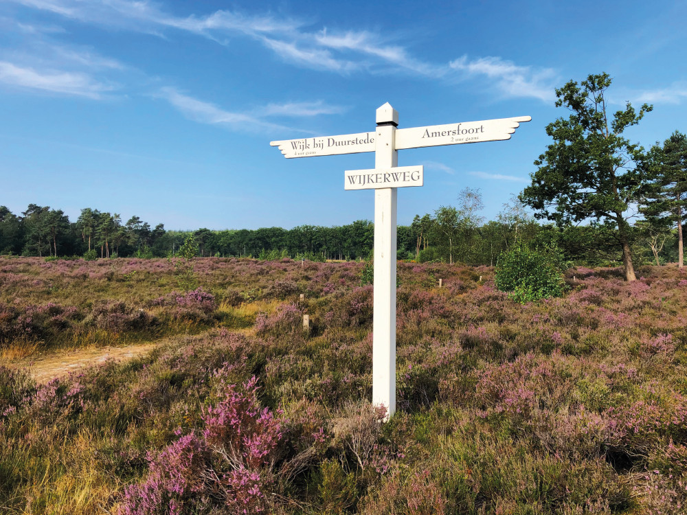 De wegwijzer bij het Treekerpunt