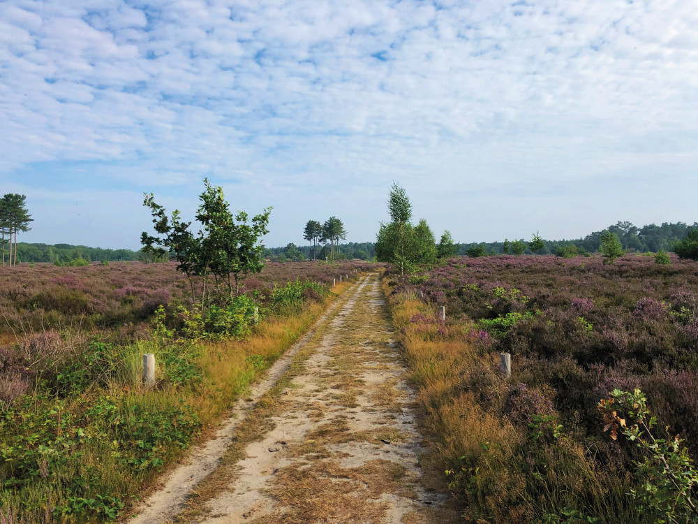 Wandelen bij het Treekerpunt