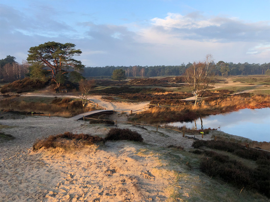 Wandelen heidestein