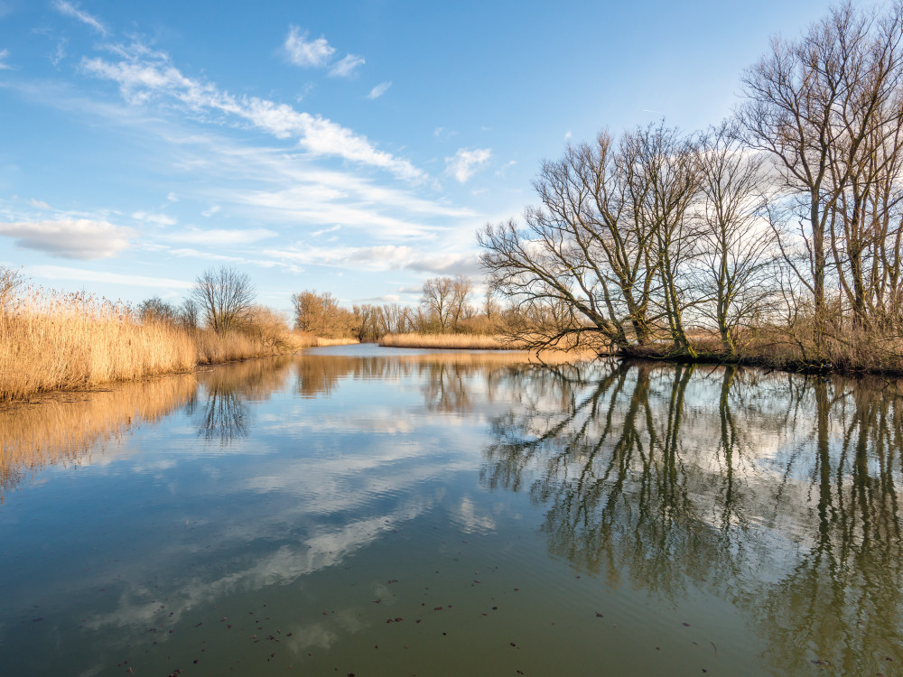 De Biesbosch in de herfst