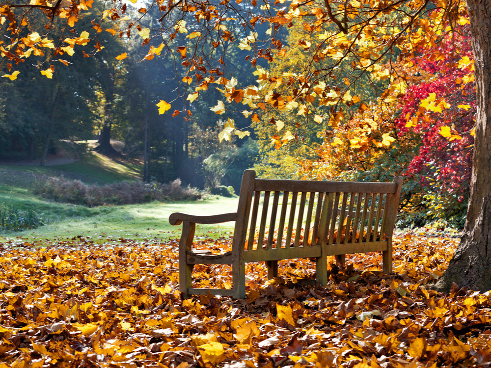 Natuur in de herfst