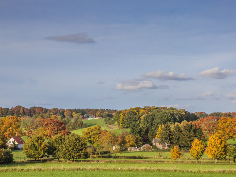 Herfstkleuren in Groesbeek