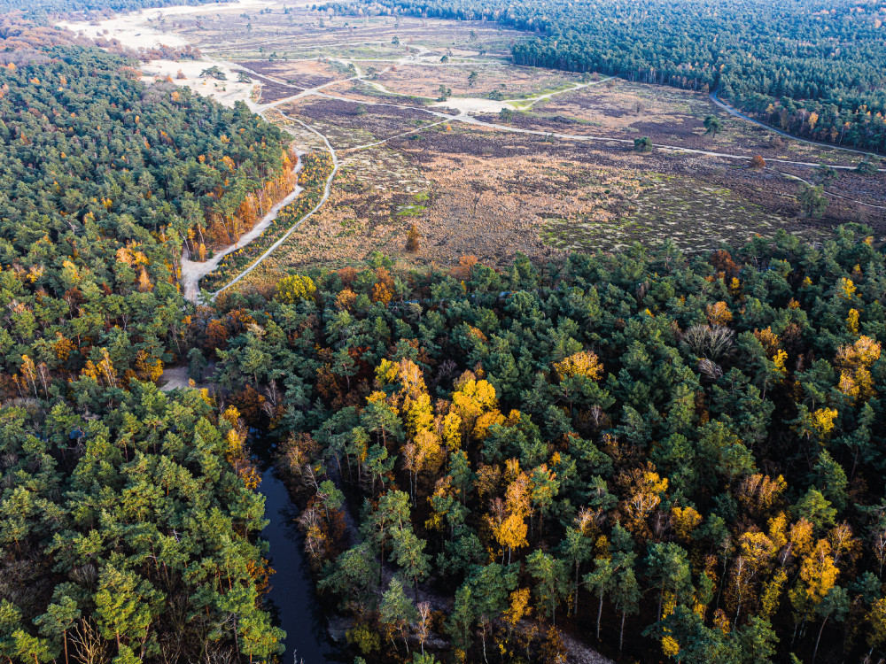 Herfst in de Loonse en Drunense duinen