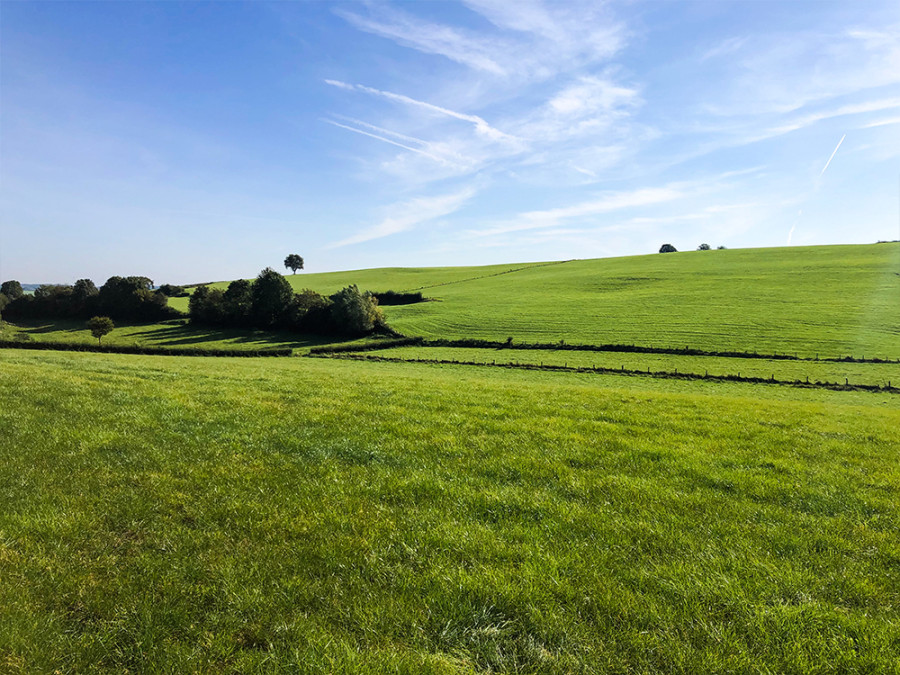 Heuvels in Zuid-Limburg