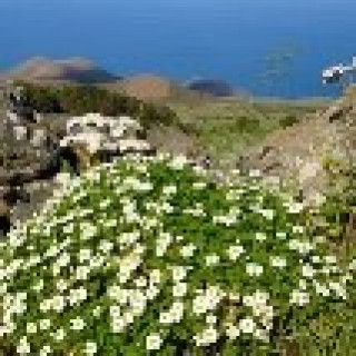 Afbeelding voor Canary-Hiking - El Hierro