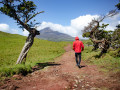 Wandeling op Pico
