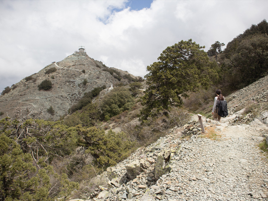 Wandelen Troodos Cyprus