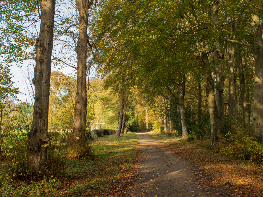 Hilverbeek in de herfst