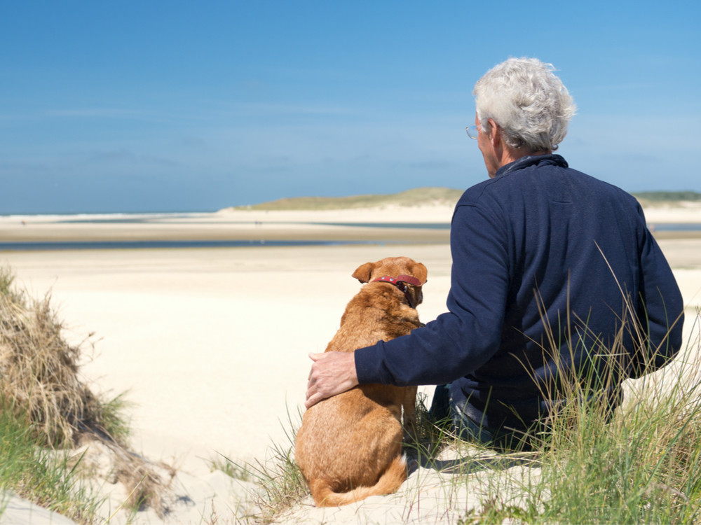 Peave Typisch Bestuiver Vakantie met hond in Nederland | Natuur en losloopgebieden