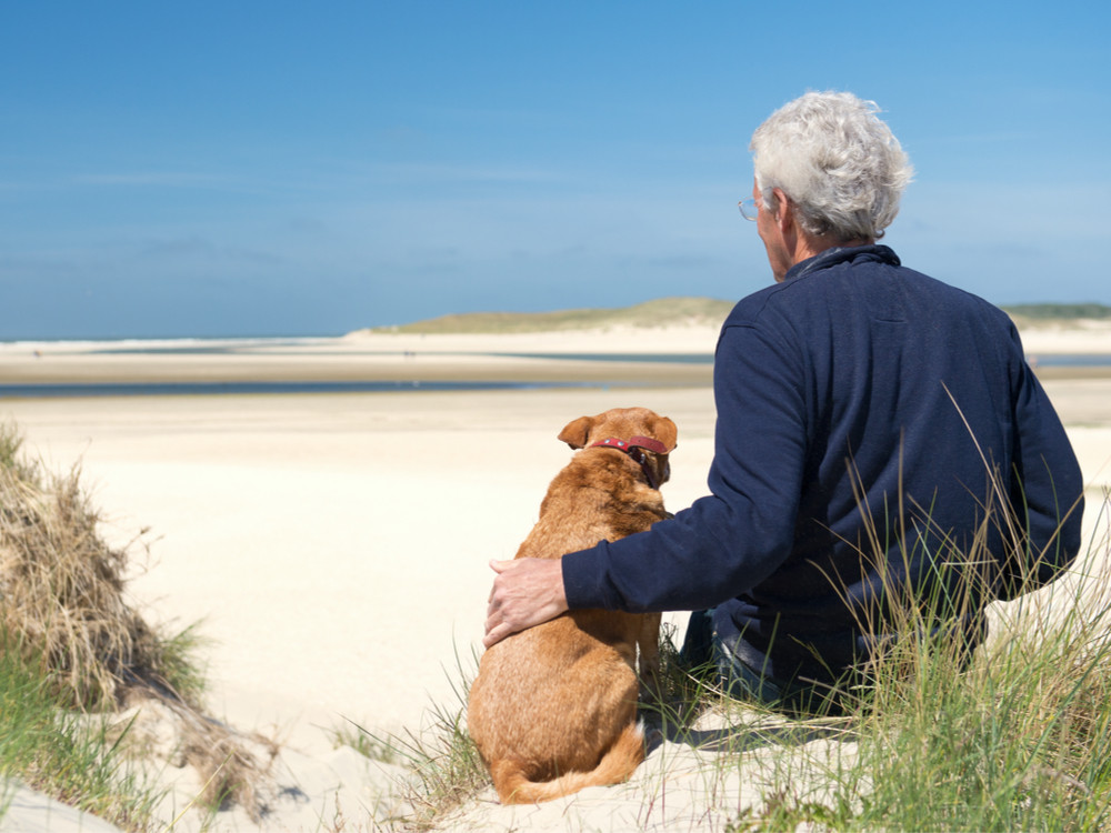 Vakantie aan de kust met hond