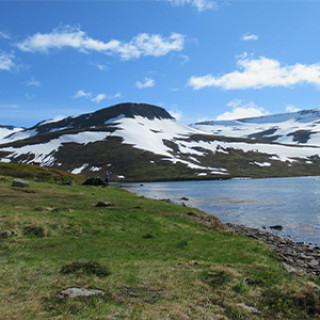 Afbeelding voor Roy Reizen - Tent-trekking Hornstrandir