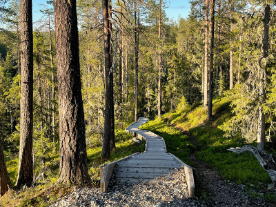 Afbeelding bij Hossa National Park