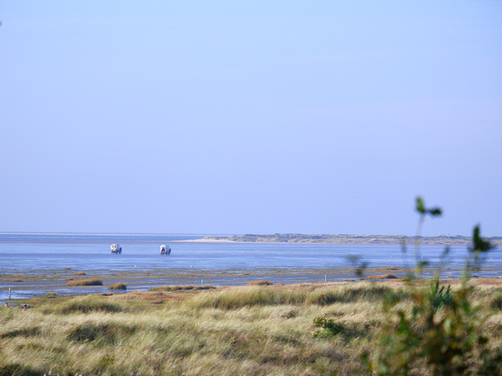 Huifkartocht over het strand