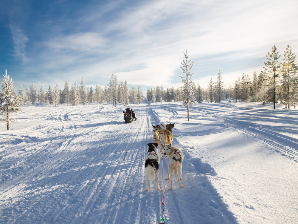 ...huskytocht in Finland