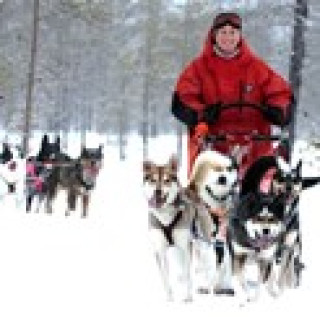 Afbeelding voor Sundowner - Huskysafari in Finland