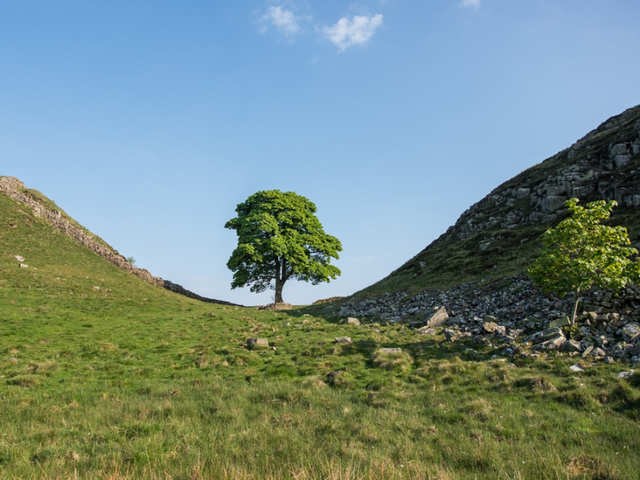 Northumberland route Northumberland route