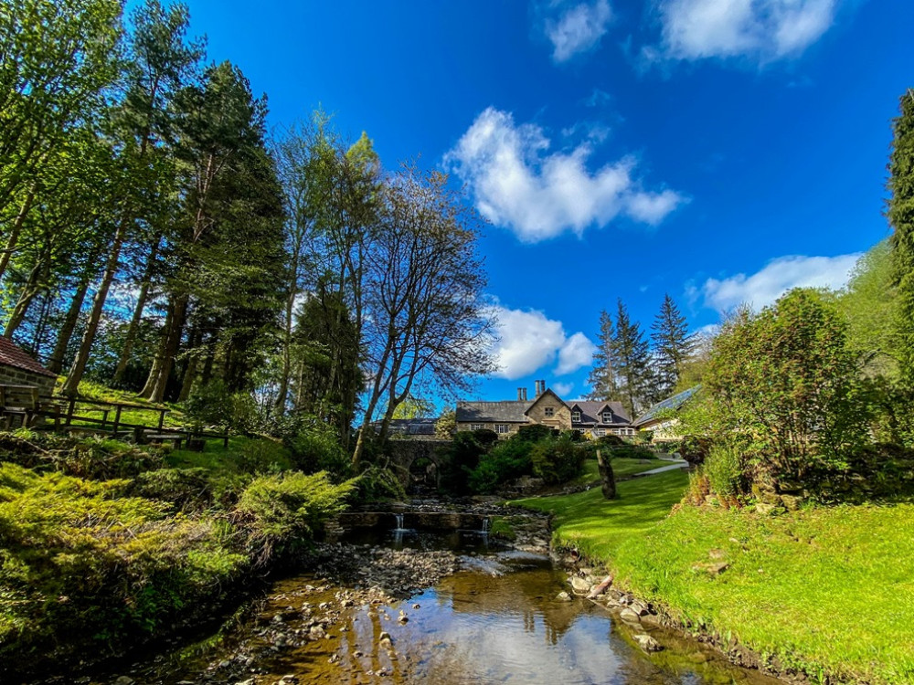 Roman Vindolanda