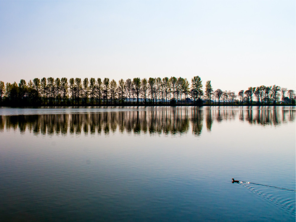 Park bij Ieper