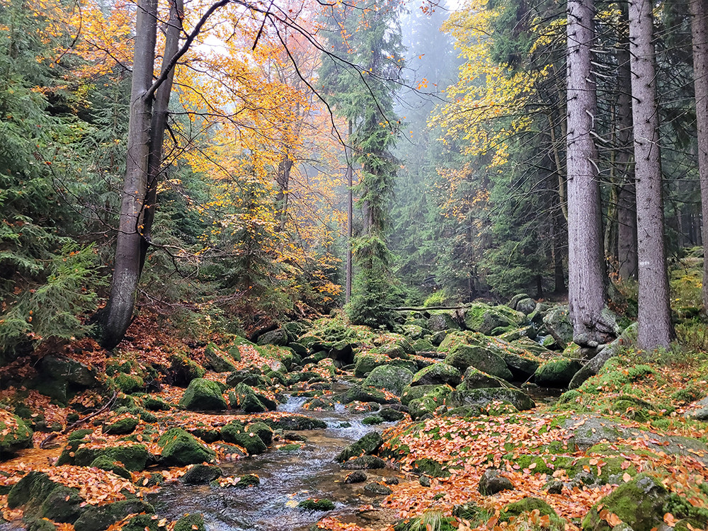 Herfst in het Jizera gebergte