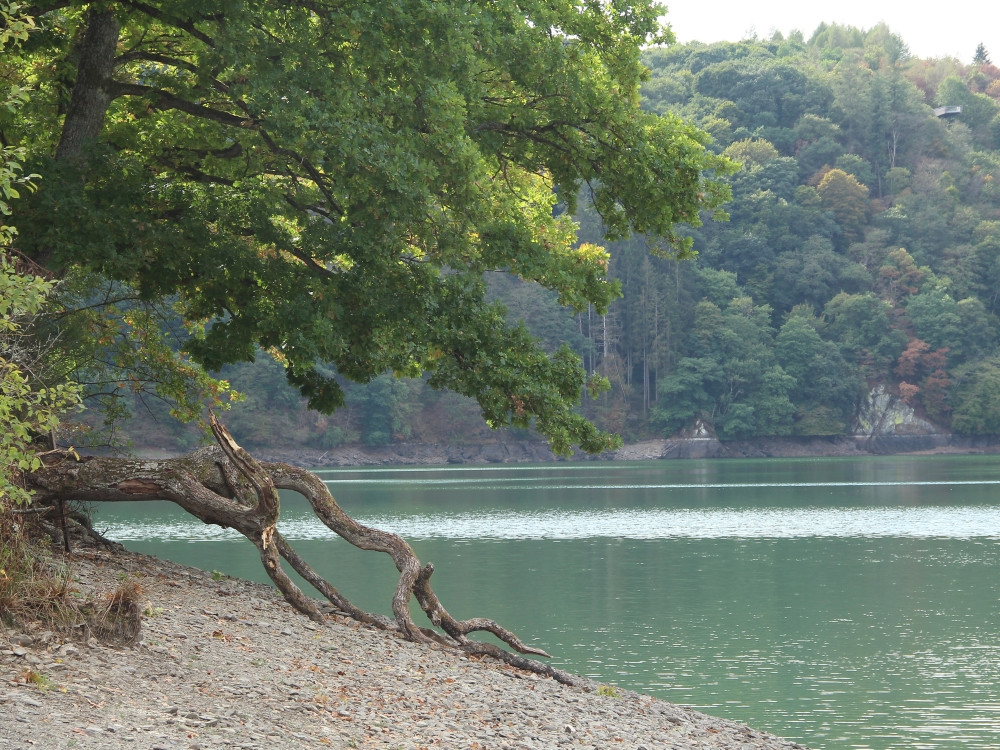 Lac de la Haute-Sûre