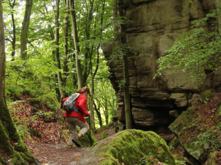 Afbeelding voor Wandelen in Luxemburg