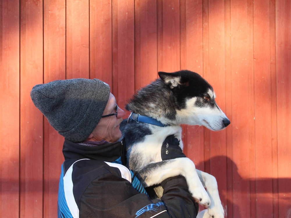 Husky farm Finland