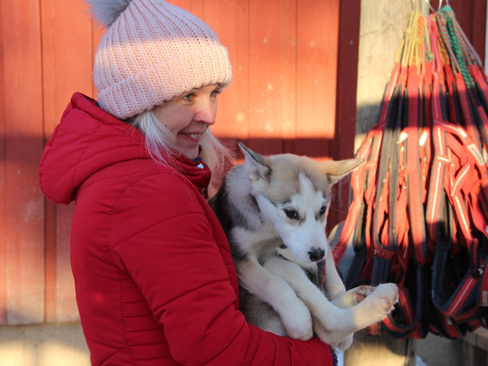 Knuffelen met puppy husky