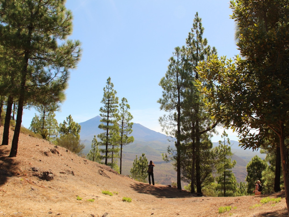 Teno Rural Park