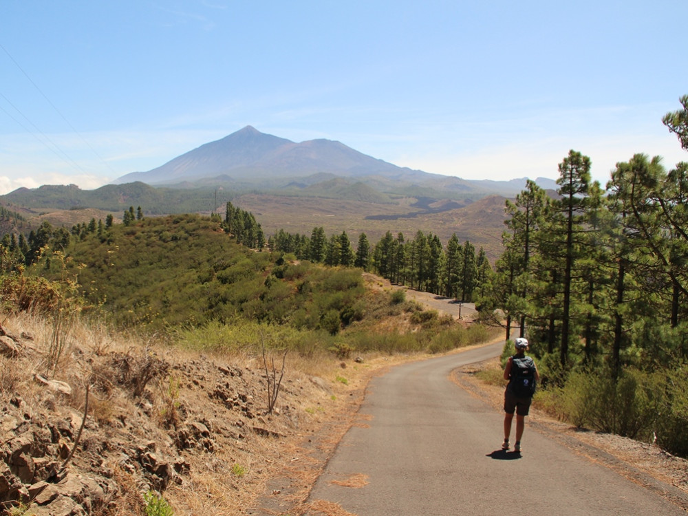 Teide op de achtergrond